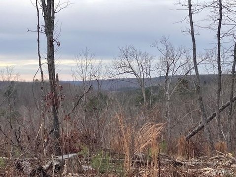 Recreational Hunting Land with Creek Access