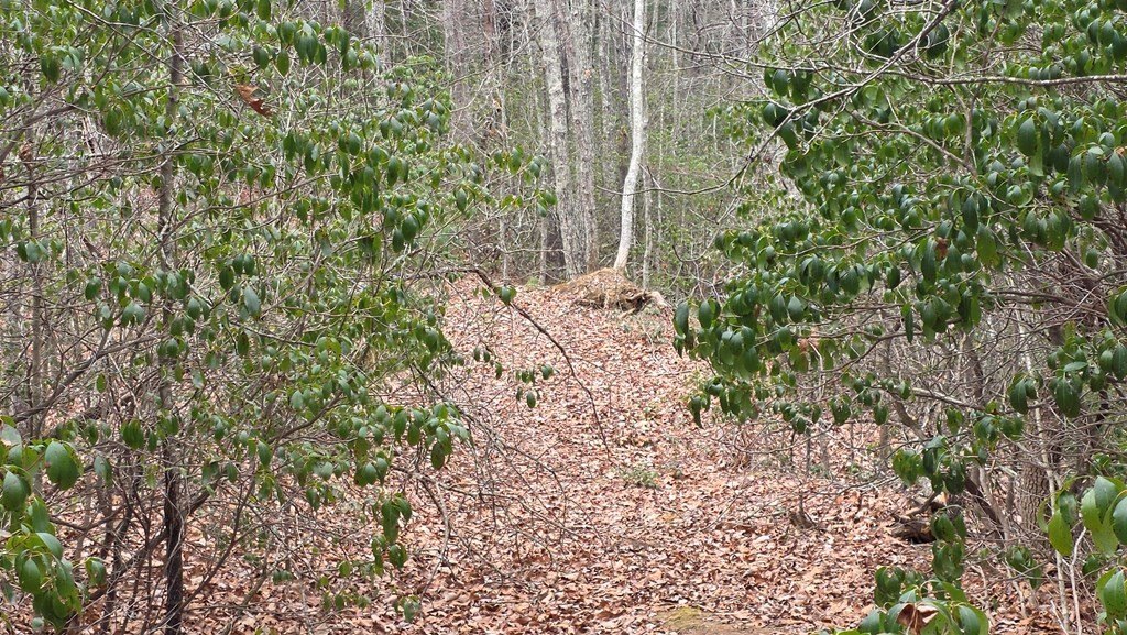 Picture 13
