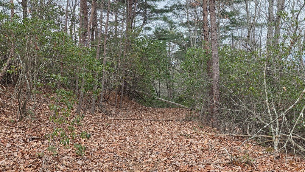 Picture 17