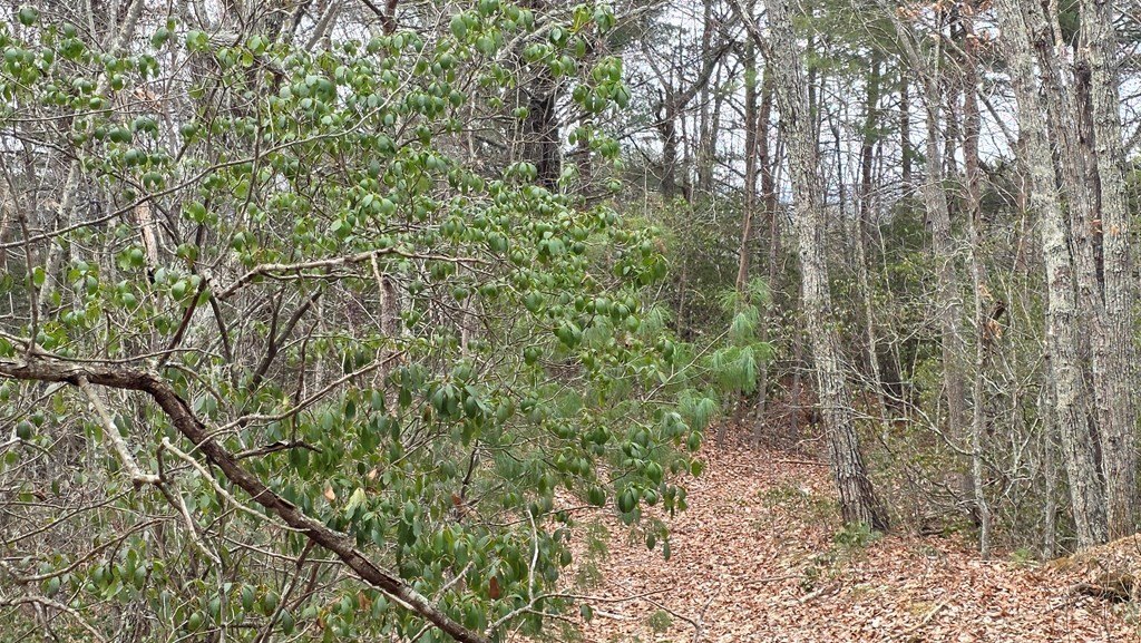 Picture 14