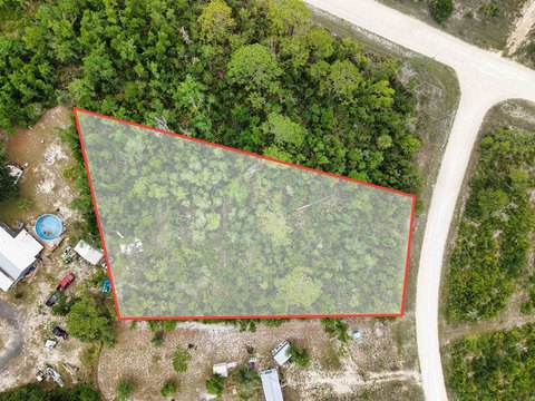 LAND - Perry, FL