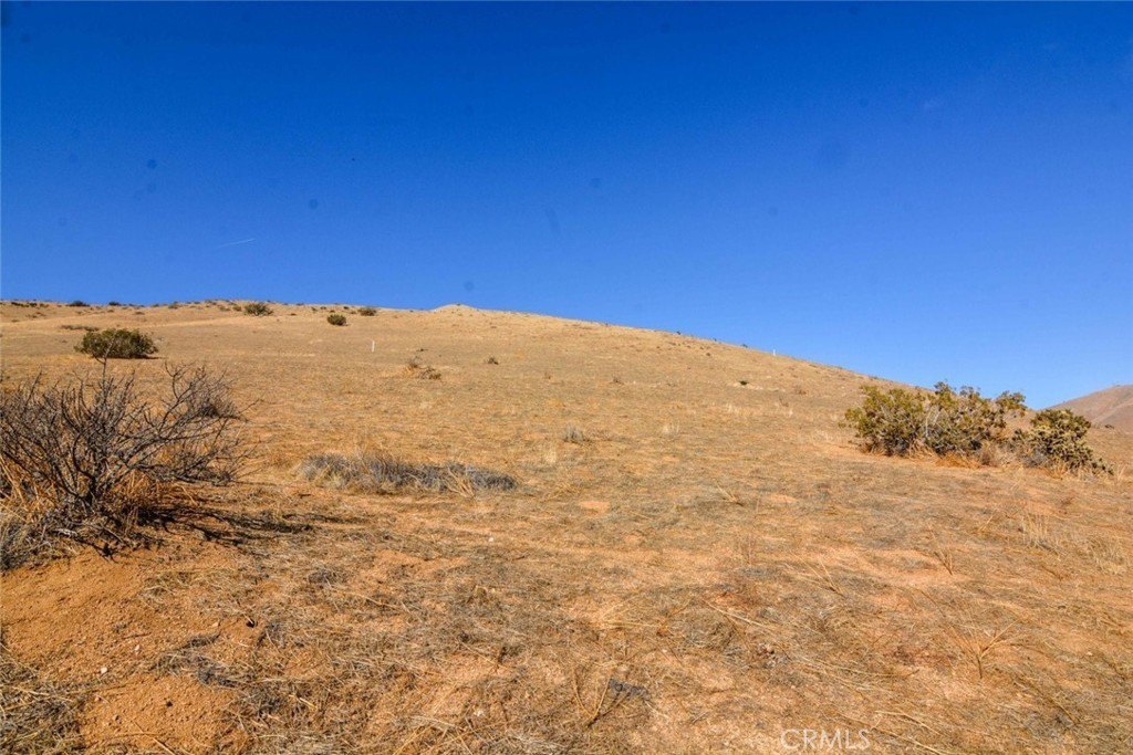 Picture 8