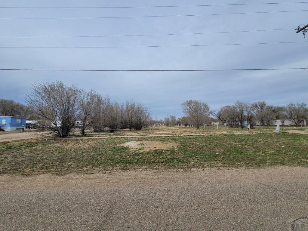 Picture 4