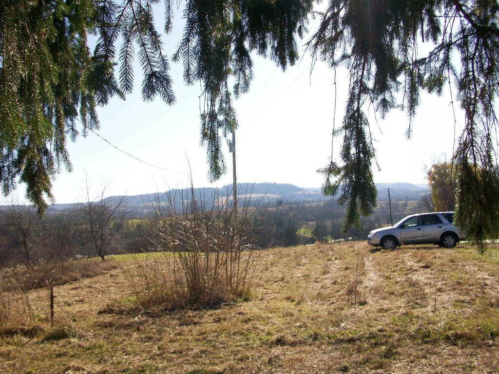 Picture 6