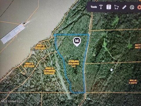 Hunting Land Near MS River