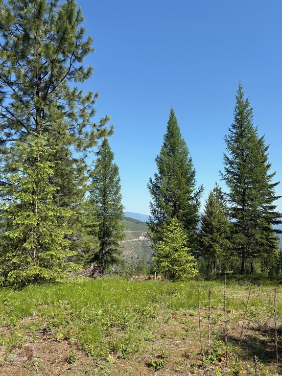 Picture 12