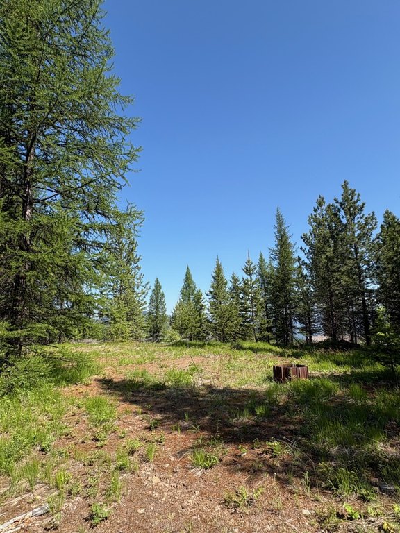 Picture 21