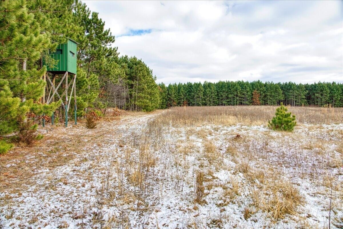 160+/- Acre Recreational Land