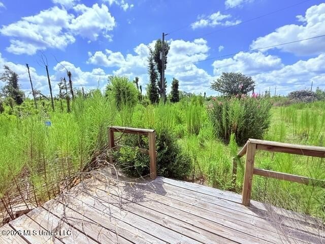 Picture 20