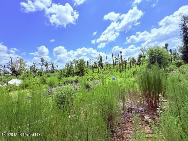 Picture 17
