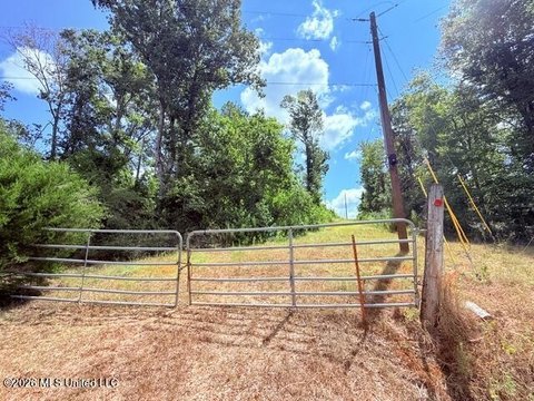 Land, Tylertown, MS