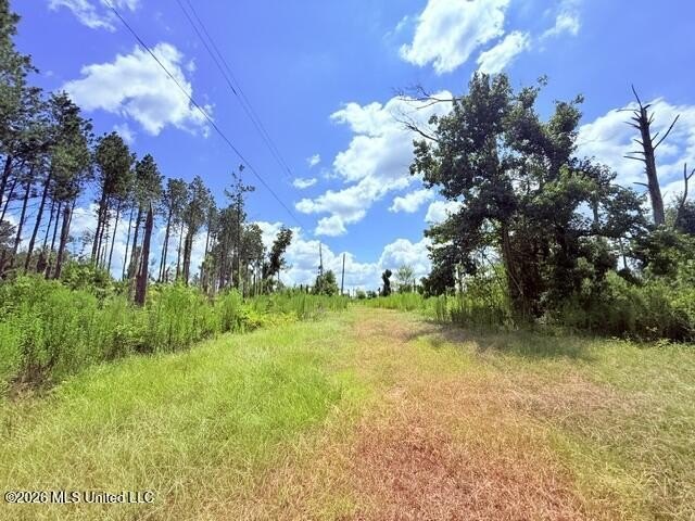 Picture 8