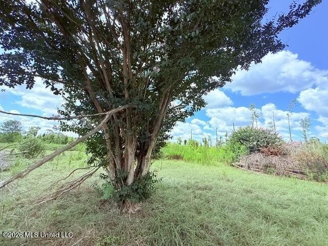 Picture 23