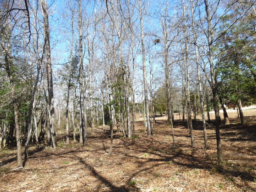 Picture 4