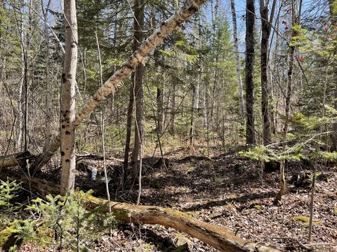Land, Rangeley Plt, ME