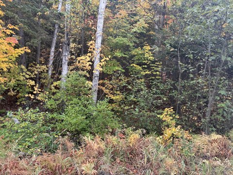 Land, Rangeley Plt, ME