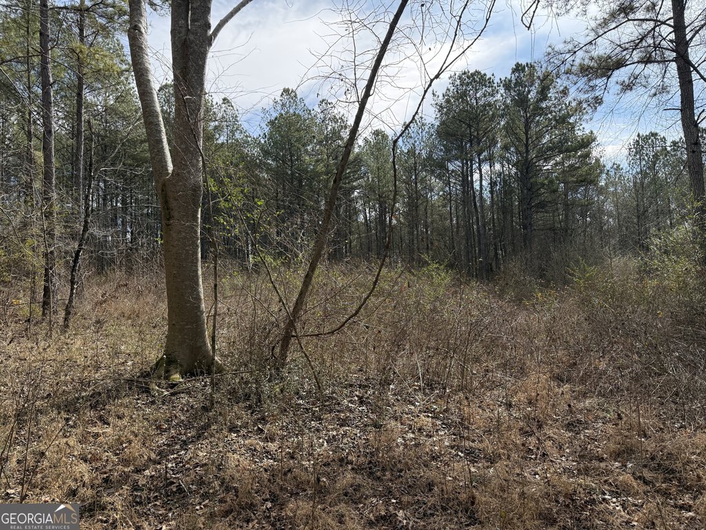 Picture 16