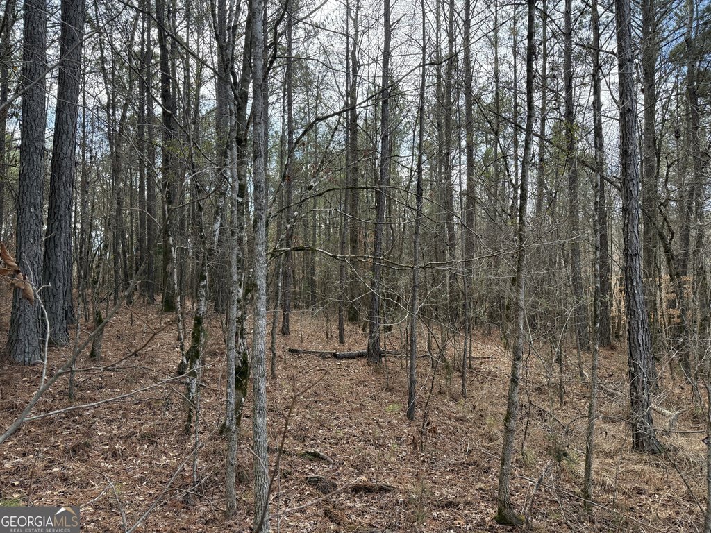 Picture 17