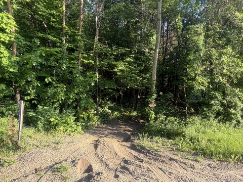 LAND - Delton, MI