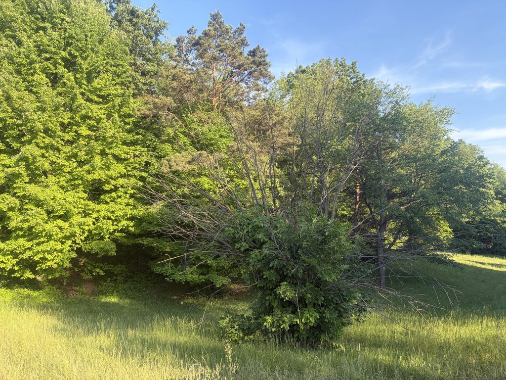 Picture 8