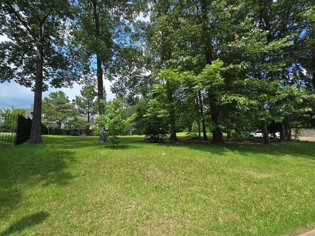Picture 5