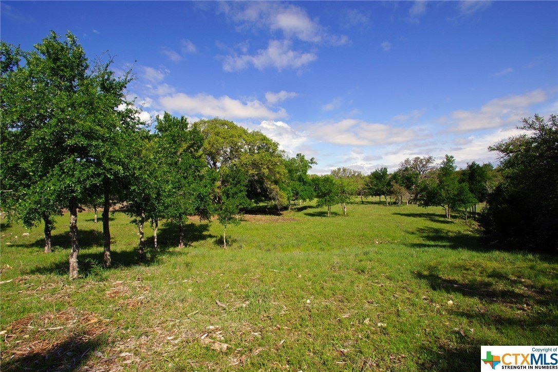 27.53 Acres in Briggs, TX