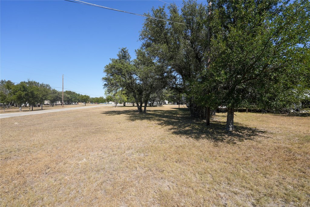 Picture 8