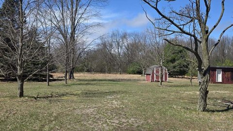 Land, Free Soil, MI