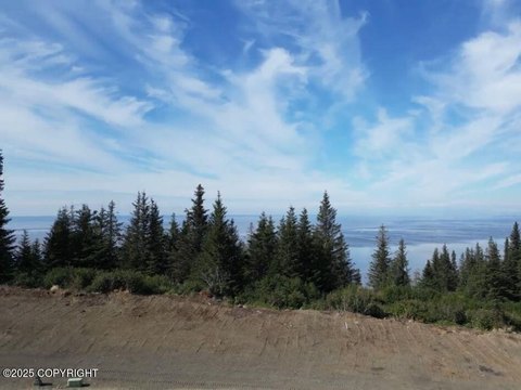Anchorage Homesite with Panoramic Views