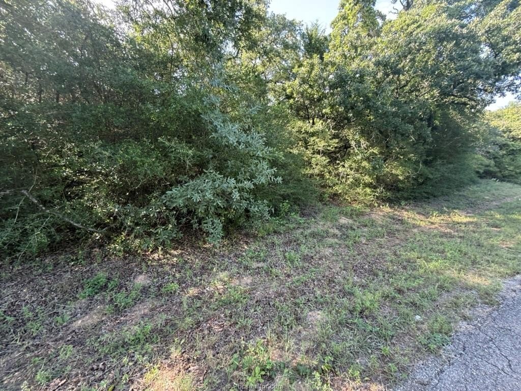 Picture 3