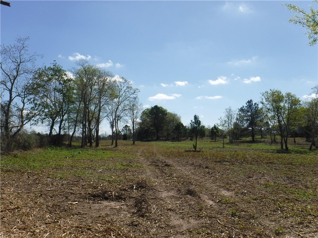 Picture 19