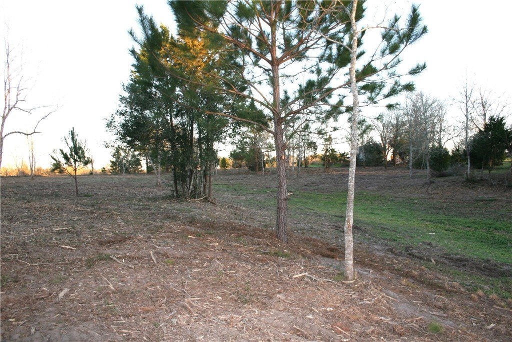 Picture 28