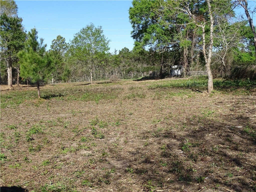 Picture 23