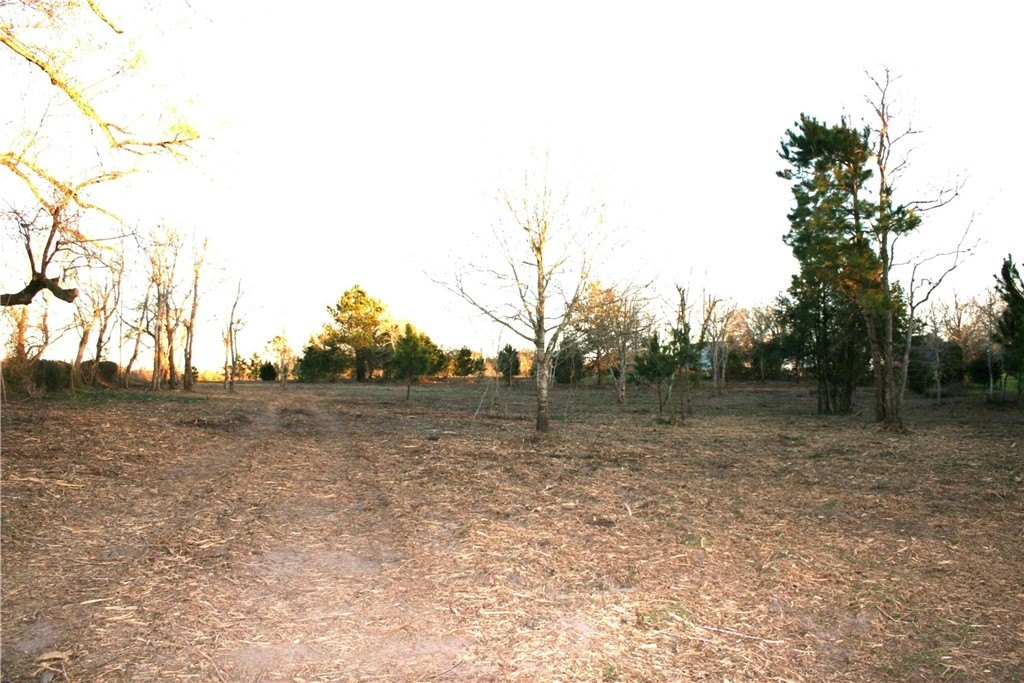 Picture 30
