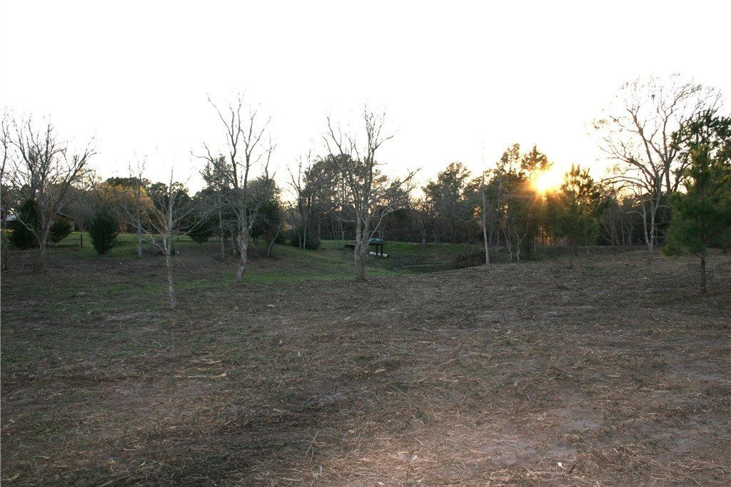 Picture 29