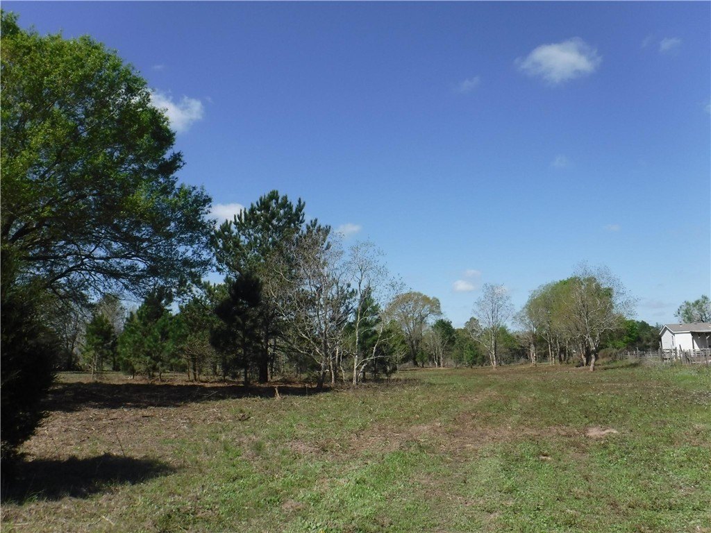Picture 9