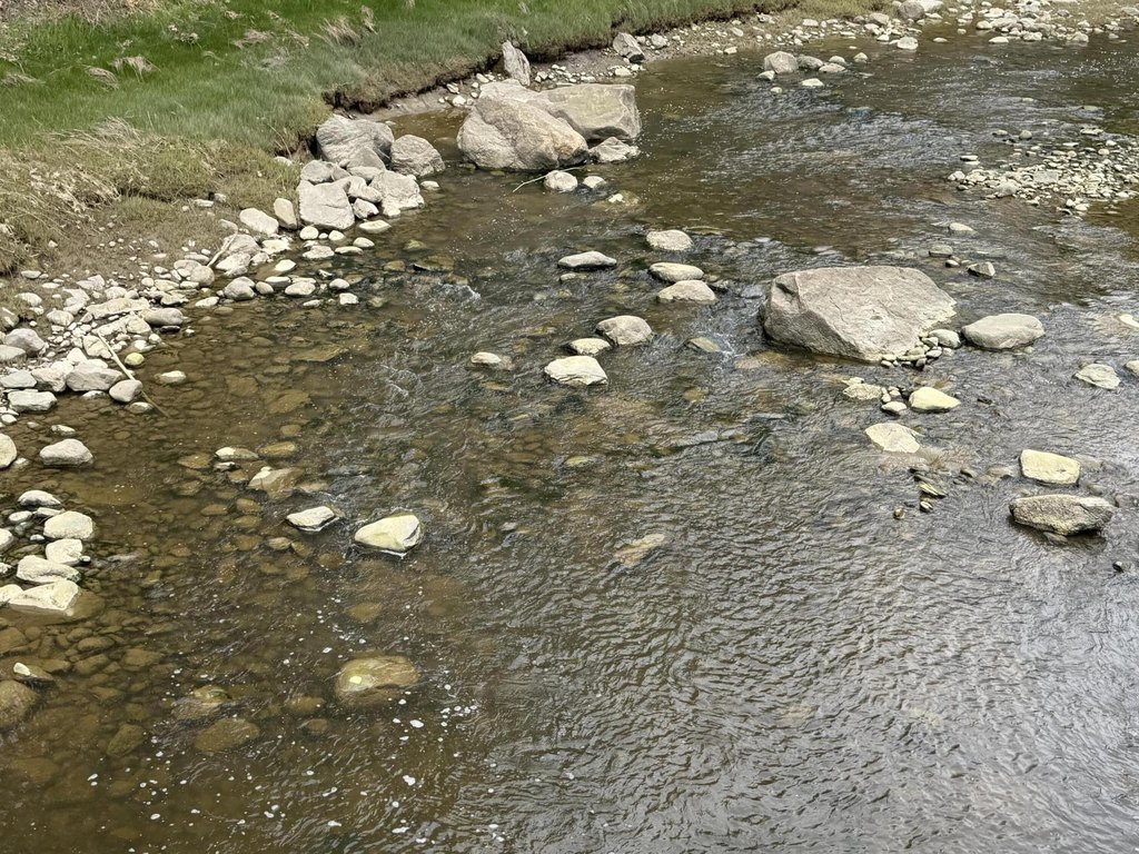 Picture 4