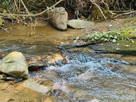 Land, Hendersonville, NC