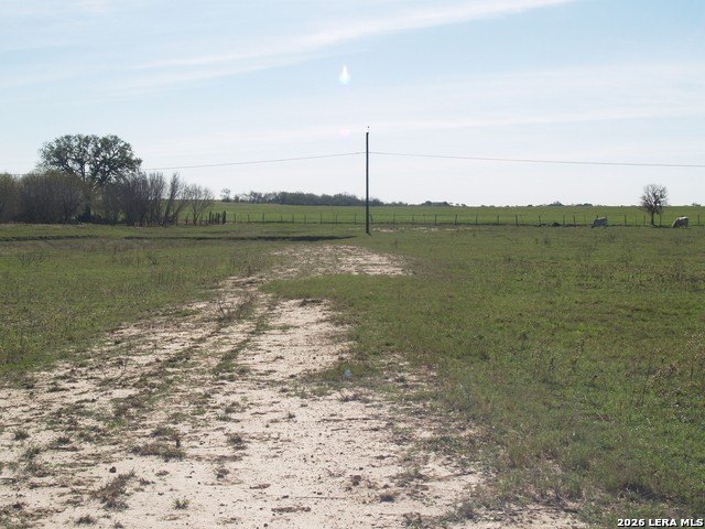 Picture 2