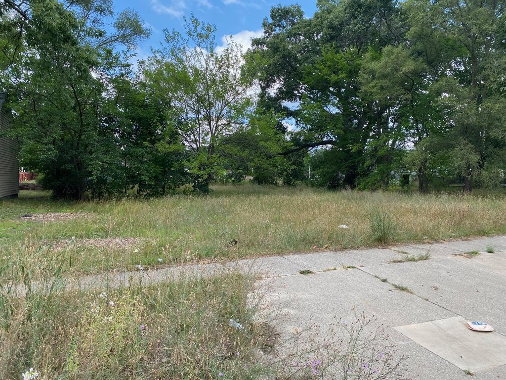 Picture 2