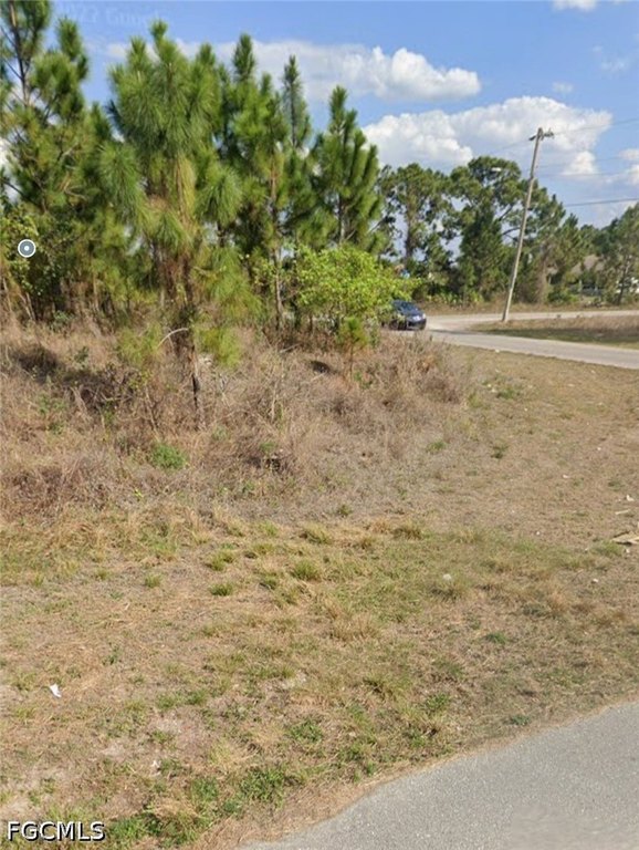 Picture 4