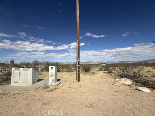 Picture 5