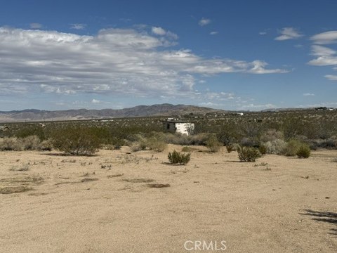 Land, Johnson Valley, CA