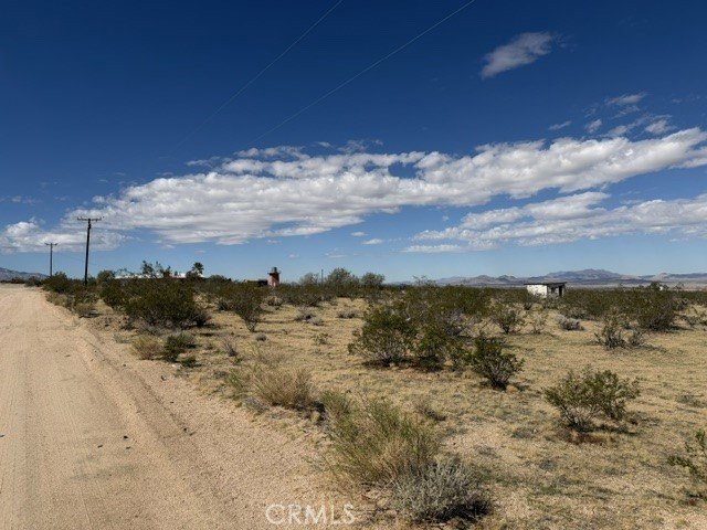 Picture 3