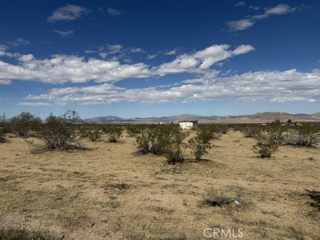 Picture 8