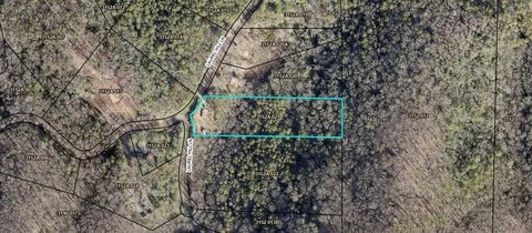 Ellijay Mountain View Land