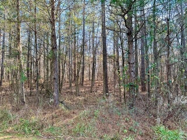 Waverly Hall Land For Sale