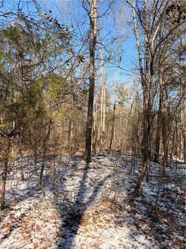 Wooded Land in Gold Hill