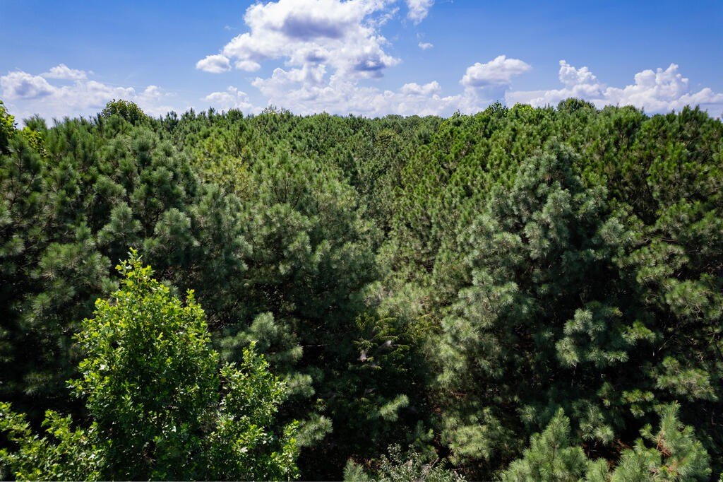 Picture 24