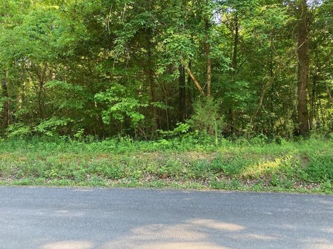 LAND - Birchwood, TN